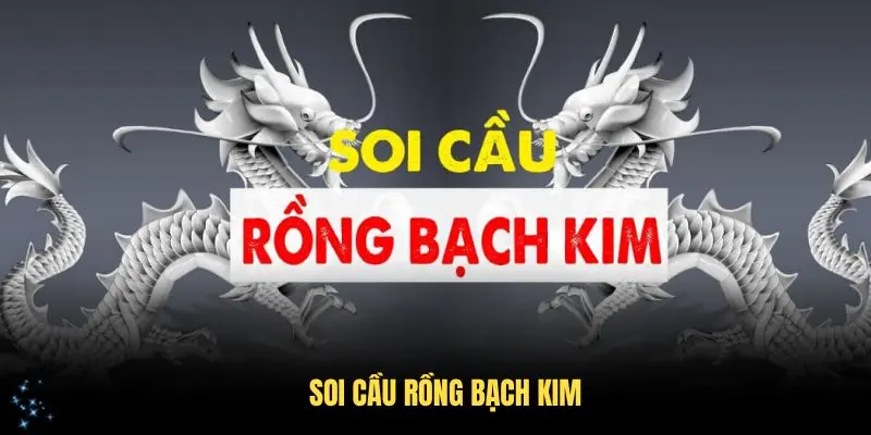 Tổng quát về cách bắt cầu Rồng bạch kim